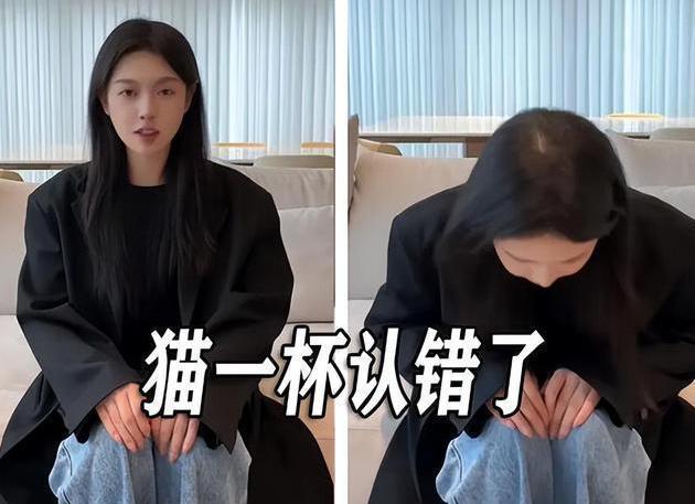 工作消息”一眼假：又抛开事实不谈？凯发k8猫一杯再现！女子“潜水回(图3)