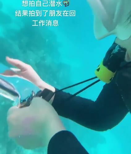 工作消息”一眼假：又抛开事实不谈？凯发k8猫一杯再现！女子“潜水回(图4)
